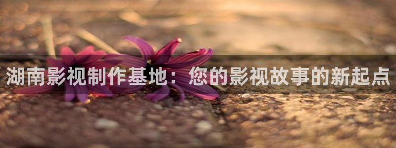 星空影院高清电影热播电视剧