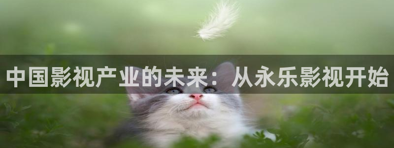星空影院免费观看电影电视剧
