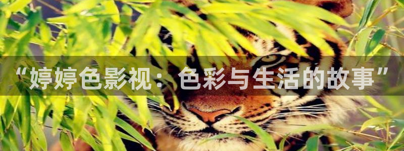 星空影院高清电影