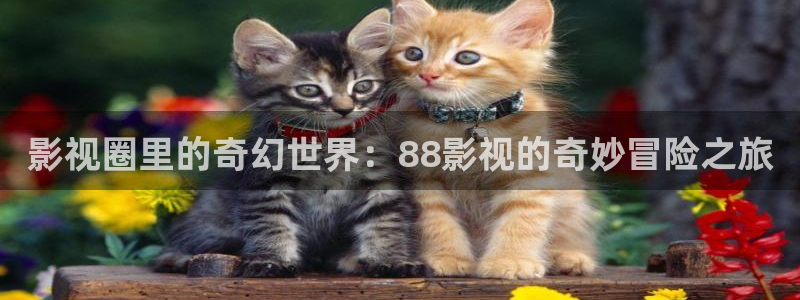 在线观看星空影院