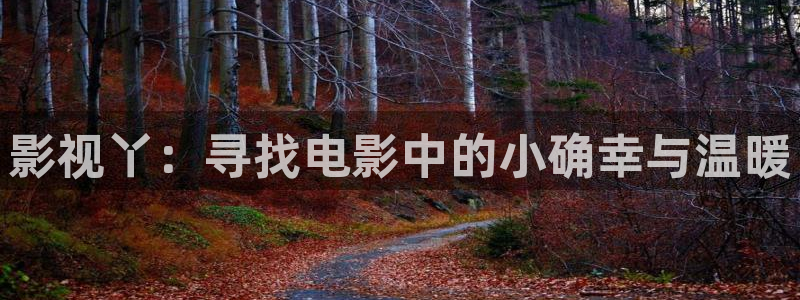 家庭影院 星空顶