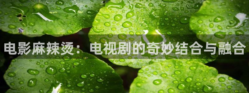 人世间星空影院