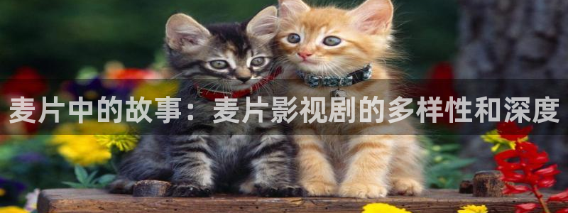 星空影视在线看