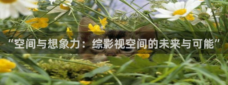 星辰影院策驰影院星空影院