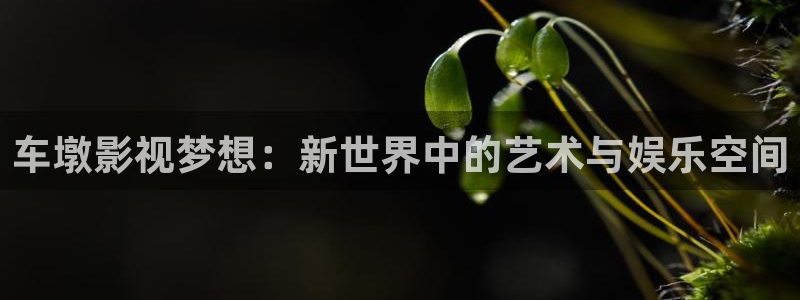 星空影院福利