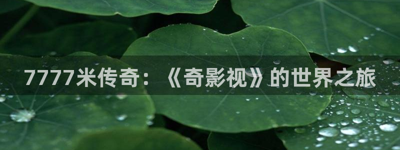 长相思星空影院